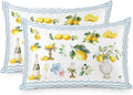 Boho Lemons Pillow Cases Standard Size Set of 2, Summer Yellow Fruits Flowers Leaf Blue Stripe Satin Pillowcase with Zipper for Hair/Skin, Decorative Pillow Covers for Bed/Couch/Sofa, 20x26 Inches