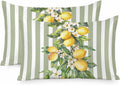 Retro Yellow Lemon Standard Pillowcase Set of 2, Sage Green Stripe Satin Pillow Case Cover with Smooth Hidden Zipper Closure, Soft Throw Pillow Covers Cases for Home Decoration 20 X 26 Inches