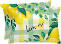 Summer Lemon Pillow Cases Standard Size Set of 2, Satin Pillowcase for Hair and Skin, Botanical Fruit Leaves Yellow Green Striped Throw Pillow Covers Cooling Pillow Protector with Zipper 20"x26"x2